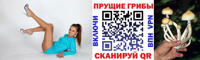 Псилоцибиновые грибы прущие грибы купить наркоту Бологое
